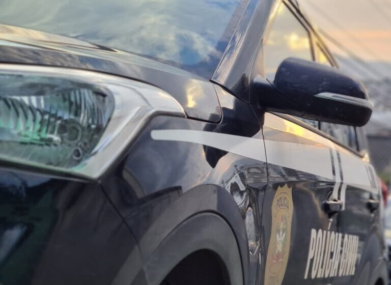  Criança de 3 anos morre após ser esquecida dentro de carro em SC