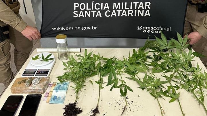  Polícia Militar descobre plantação de maconha em Chapecó