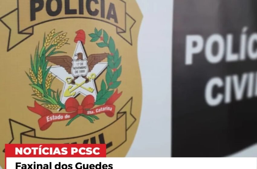  Polícia Civil cumpre mandado e prende homem por posse irregular de arma em Faxinal dos Guedes