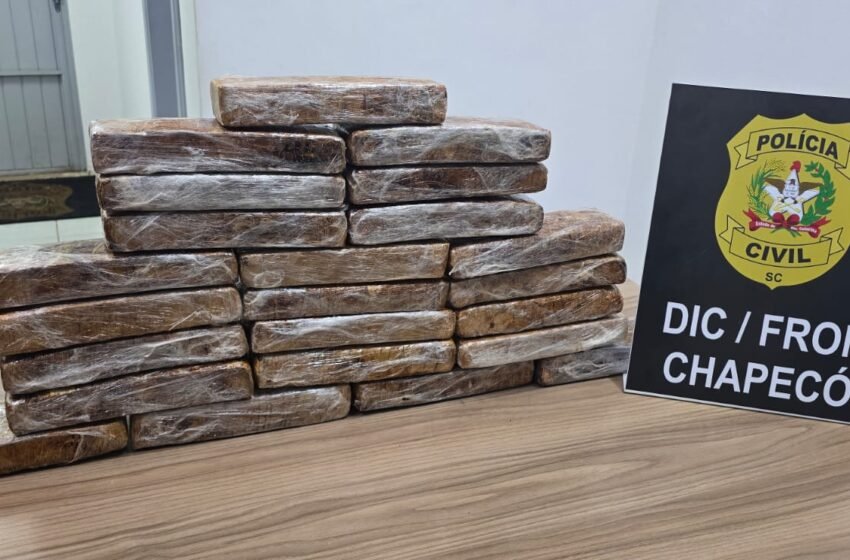  Polícia Civil de Chapecó prende três pessoas em flagrante por tráfico de maconha