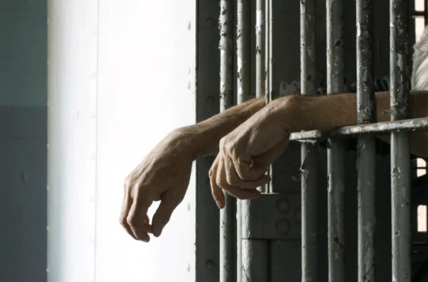  Polícia Militar prende três homens em flagrante por violência doméstica no contexto da Lei Maria da Penha