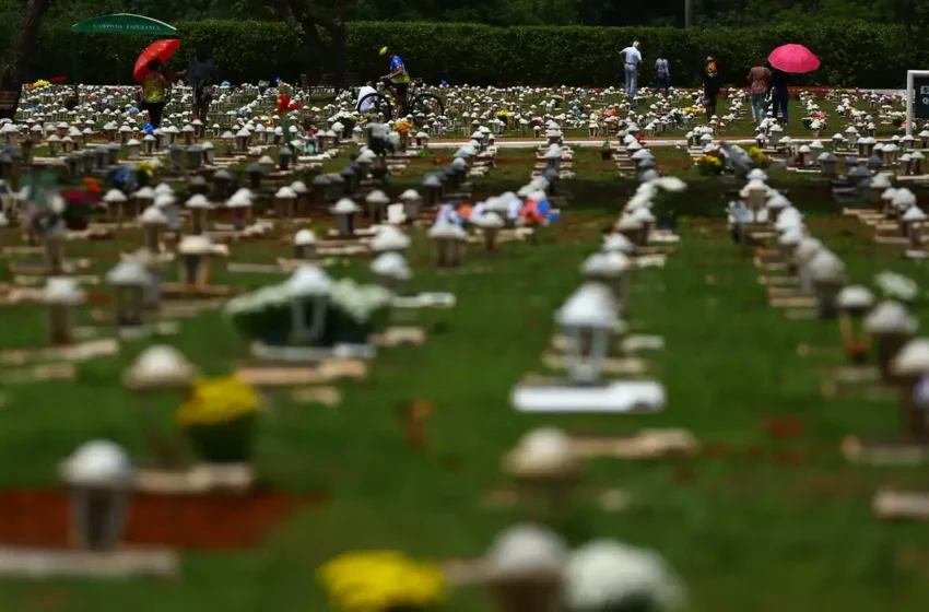  Novembro terá três feriados nacionais este ano