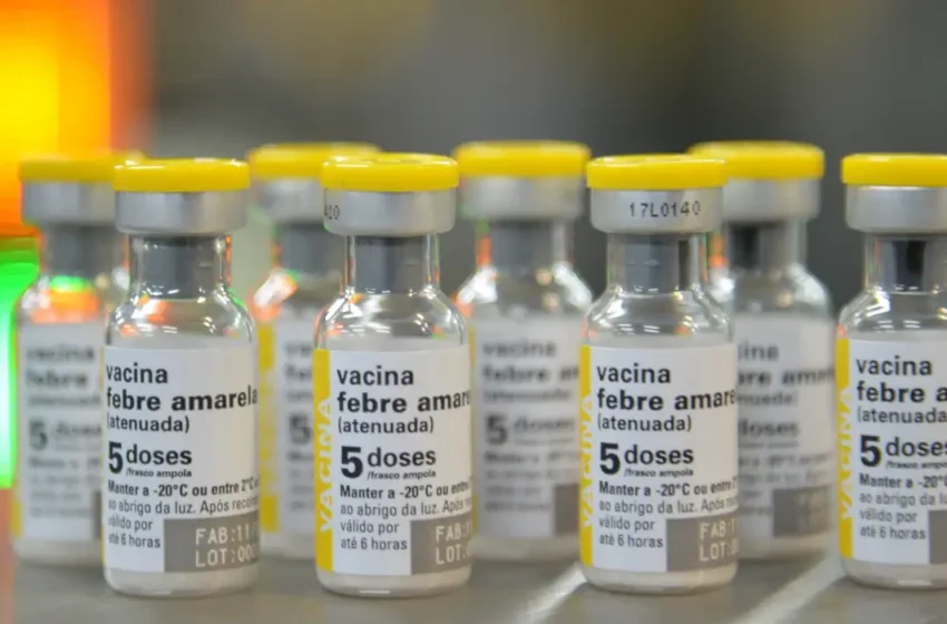  São Paulo confirma primeiro caso de febre amarela em humano em 2025