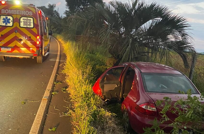  Condutor de 66 anos colide contra árvore na SC 480 em São Domingos