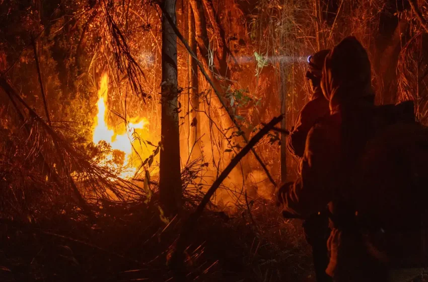  Brasil registra em 2024 aumento de 79% de áreas queimadas